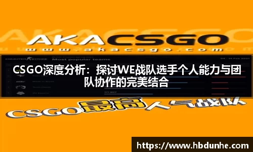 CSGO深度分析：探讨WE战队选手个人能力与团队协作的完美结合